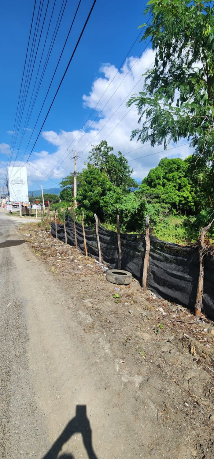 VENTA DE TERRENO COMERCIAL EN VILLA GONZALEZ  - foto 1