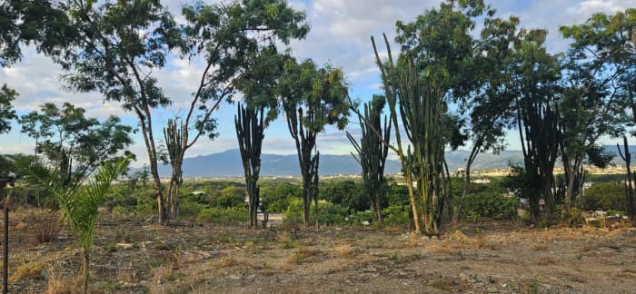 Terreno en Venta en La Barranquita, Santiago de los Caballeros - foto 1