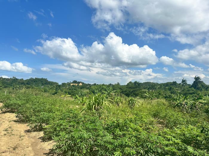 EN VENTA TERRENO RESIDENCIAL  GUAYABAL SANTIAGO  - foto 1