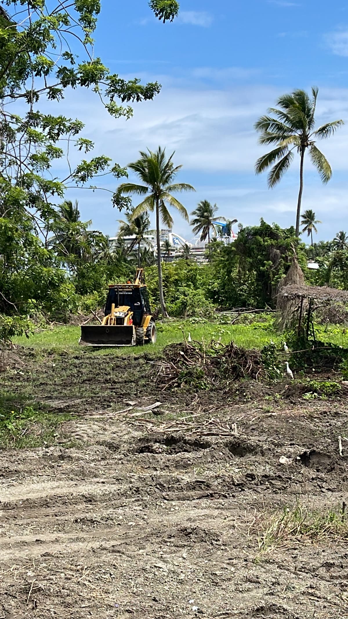 EN VENTA SOLARES EN LA ISABELA , MAIMON  - foto 1
