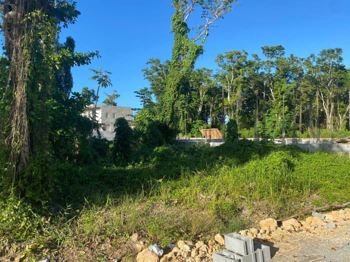 EN VENTA TERRENO EN LAS TERRENAS SAMANA - foto 1
