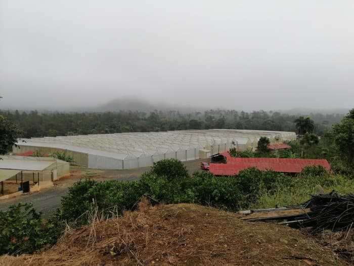 FINCA DE PRODUCCION EN LA LEONOR SANTIAGO RODRIGUEZ - foto 1