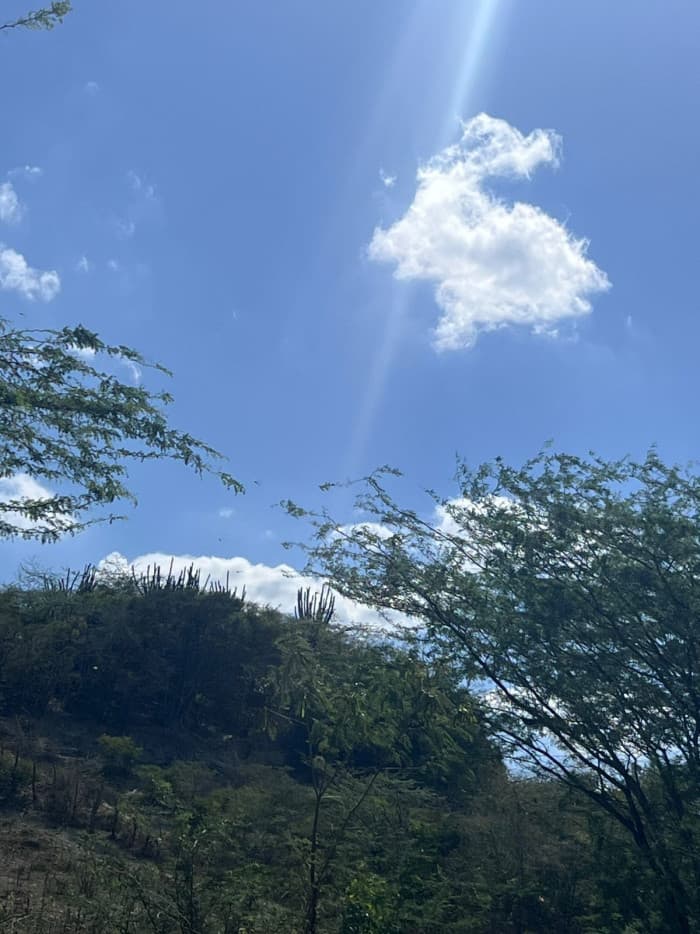 VENTA DE TERRENO COMERCIAL PROXIMO A ZONA FRANCA RAFEY  - foto 1