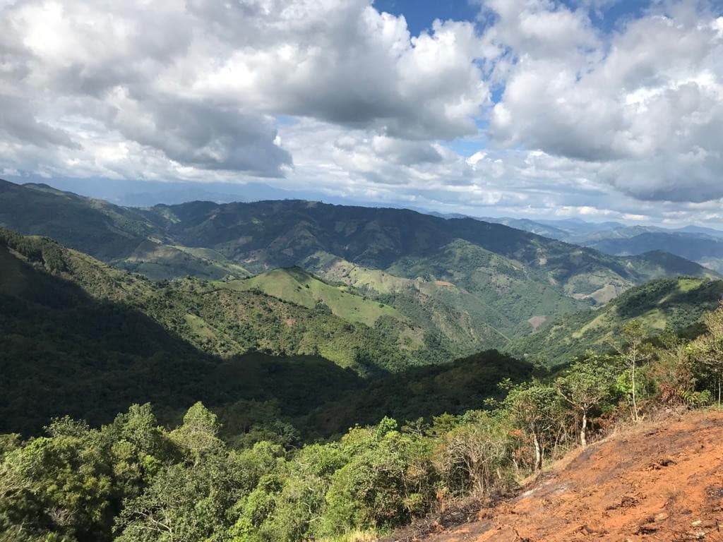 VENTA DE TERRENO AGRICOLA EN LOS RANCHITOS , OCOA  - foto 1