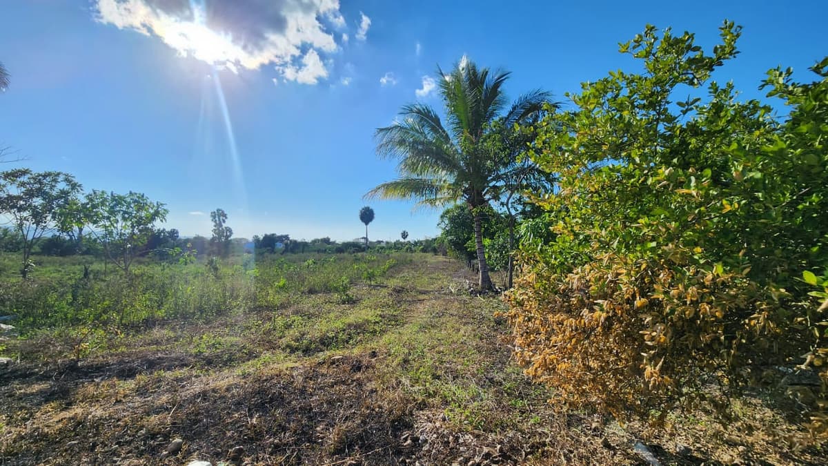 Venta de terreno en La Lomita ,Villa  González - foto 1