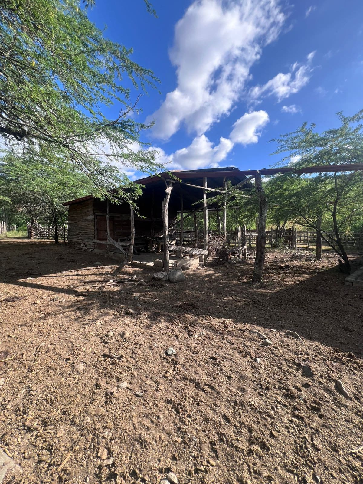 VENTA DE FINCA GANADERA LA CUESTA,LOMA QUEMADA, SAJOMA  - foto 2