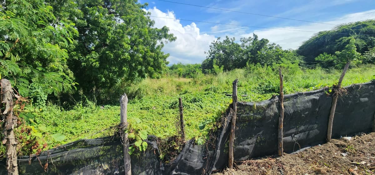 VENTA DE TERRENO COMERCIAL EN VILLA GONZALEZ  - foto 2