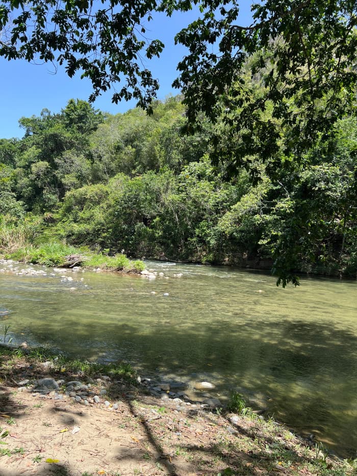 EN VENTA TERRENO  EN SAN JOSE DE LAS MATAS - foto 2