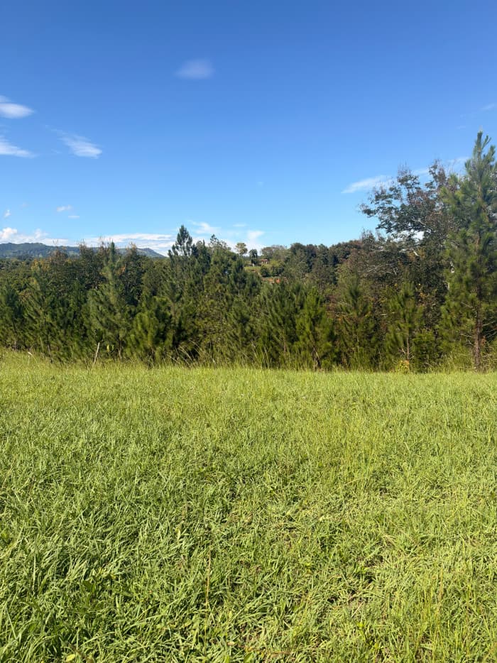 VENTA DE TERRENO EN SAJOMA, LOS MONTONES ABAJO  - foto 4