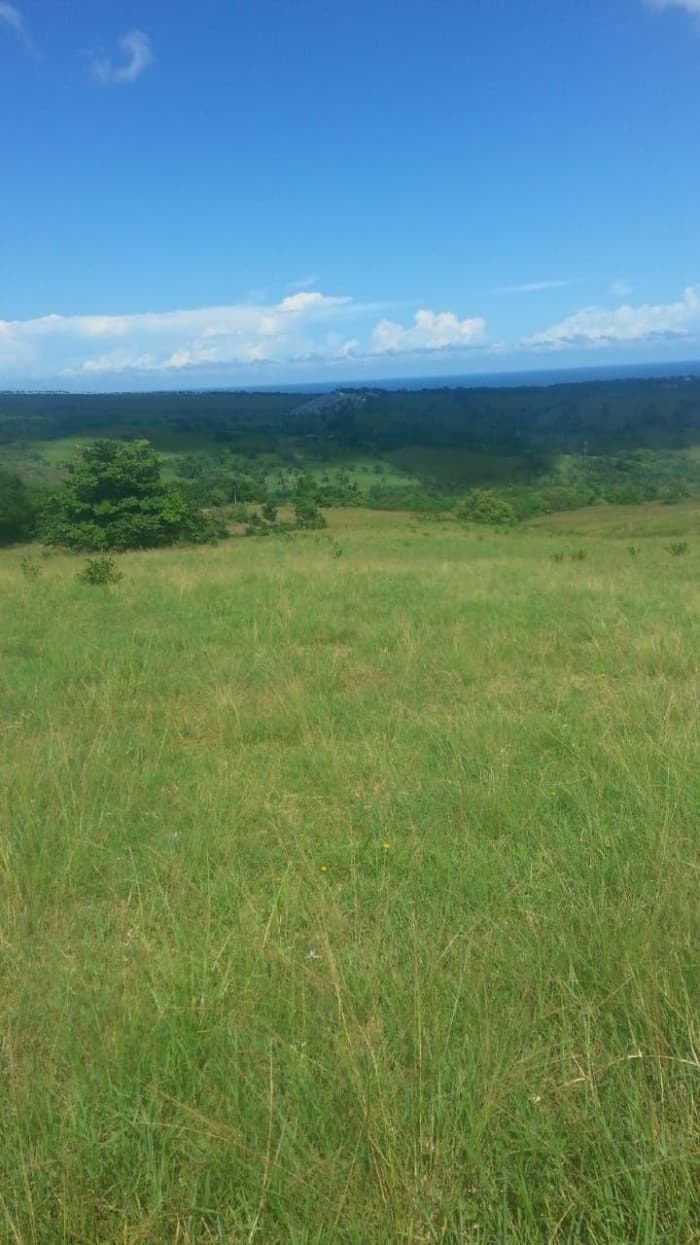 Venta de Solares en Camu, Puerto Plata. - foto 3