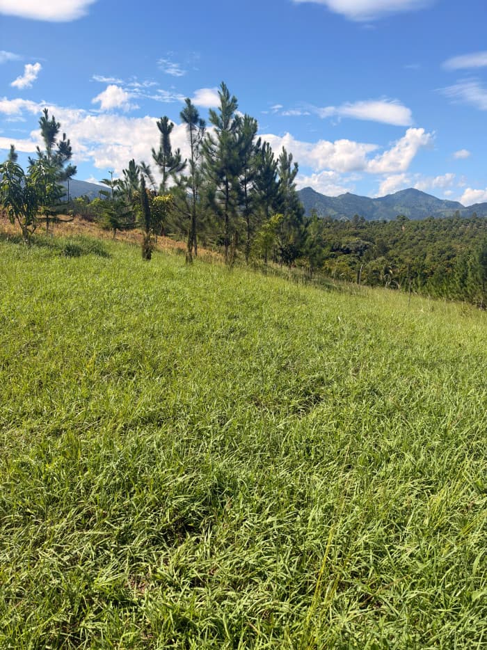 VENTA DE TERRENO EN SAJOMA, LOS MONTONES ABAJO  - foto 3