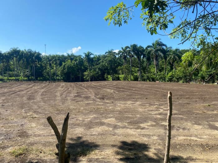 Venta de solares en Muñoz, Puerto Plata. - foto 3