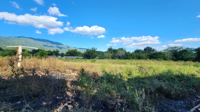 Venta de terreno en La Lomita ,Villa  González - foto 2