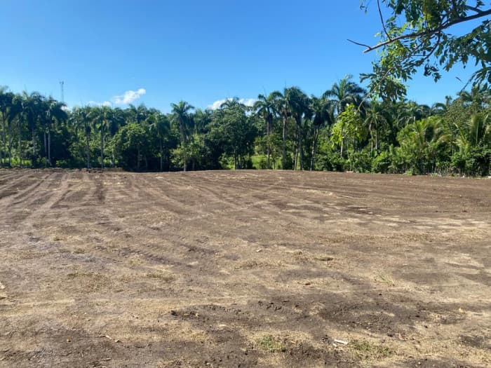 Venta de solares en Muñoz, Puerto Plata. - foto 2