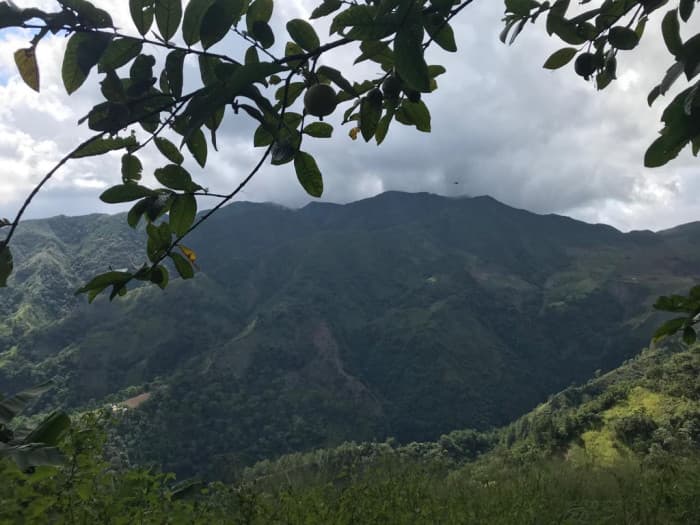 VENTA DE TERRENO AGRICOLA EN LOS RANCHITOS , OCOA  - foto 2