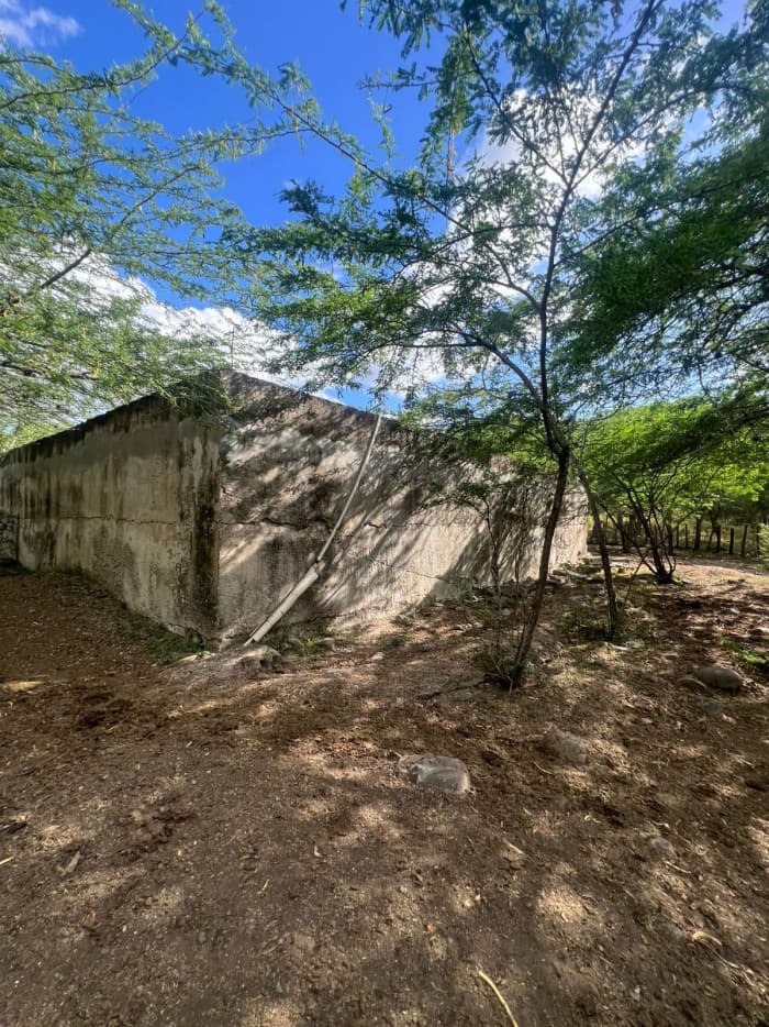 VENTA DE FINCA GANADERA LA CUESTA,LOMA QUEMADA, SAJOMA  - foto 3
