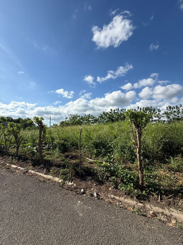 VENTA SOLAR ZONA RESIDENCIAL  EN LOS LLANOS DE GURABO - foto 4