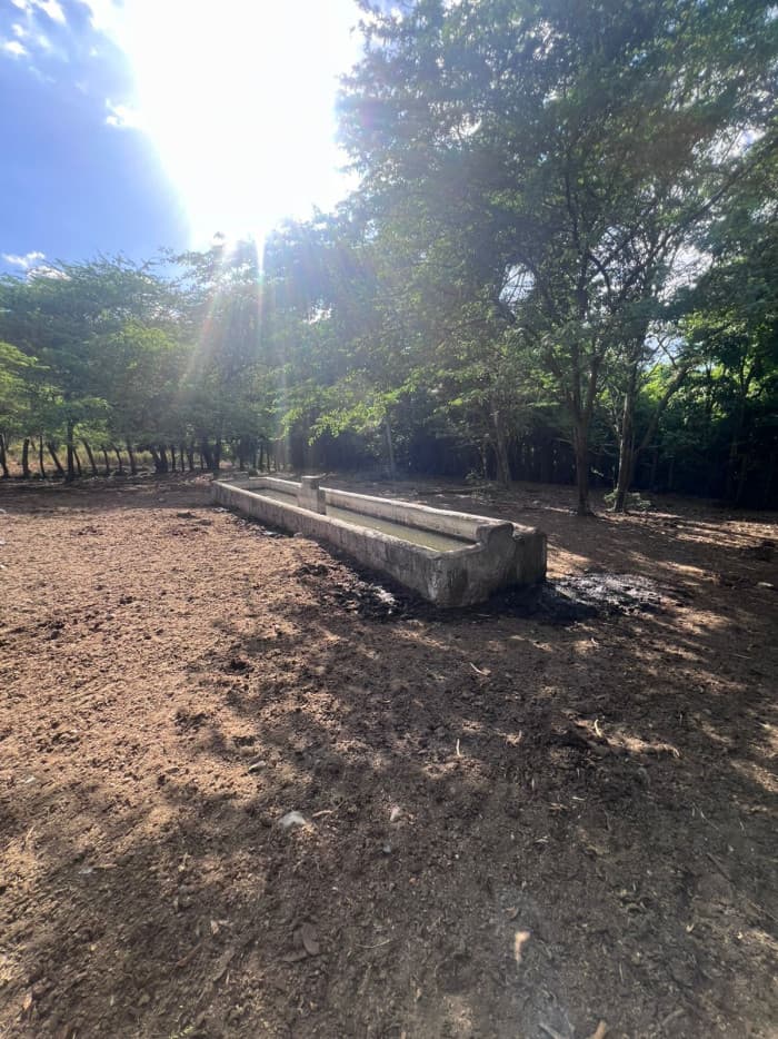 VENTA DE FINCA GANADERA LA CUESTA,LOMA QUEMADA, SAJOMA  - foto 4