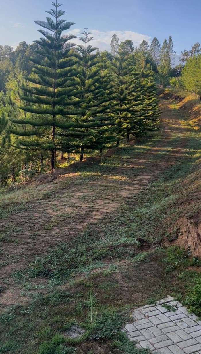 VENTA DE TERRENO EN SAJOMA, LOS MONTONES  - foto 4