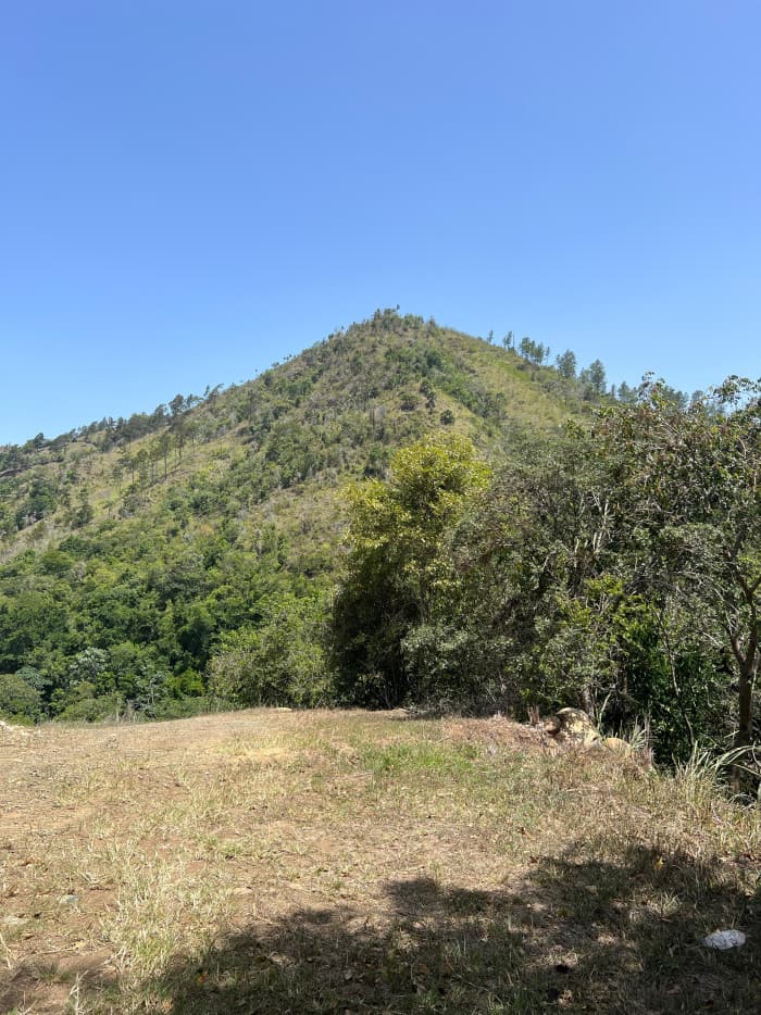 EN VENTA TERRENO  EN SAN JOSE DE LAS MATAS - foto 4