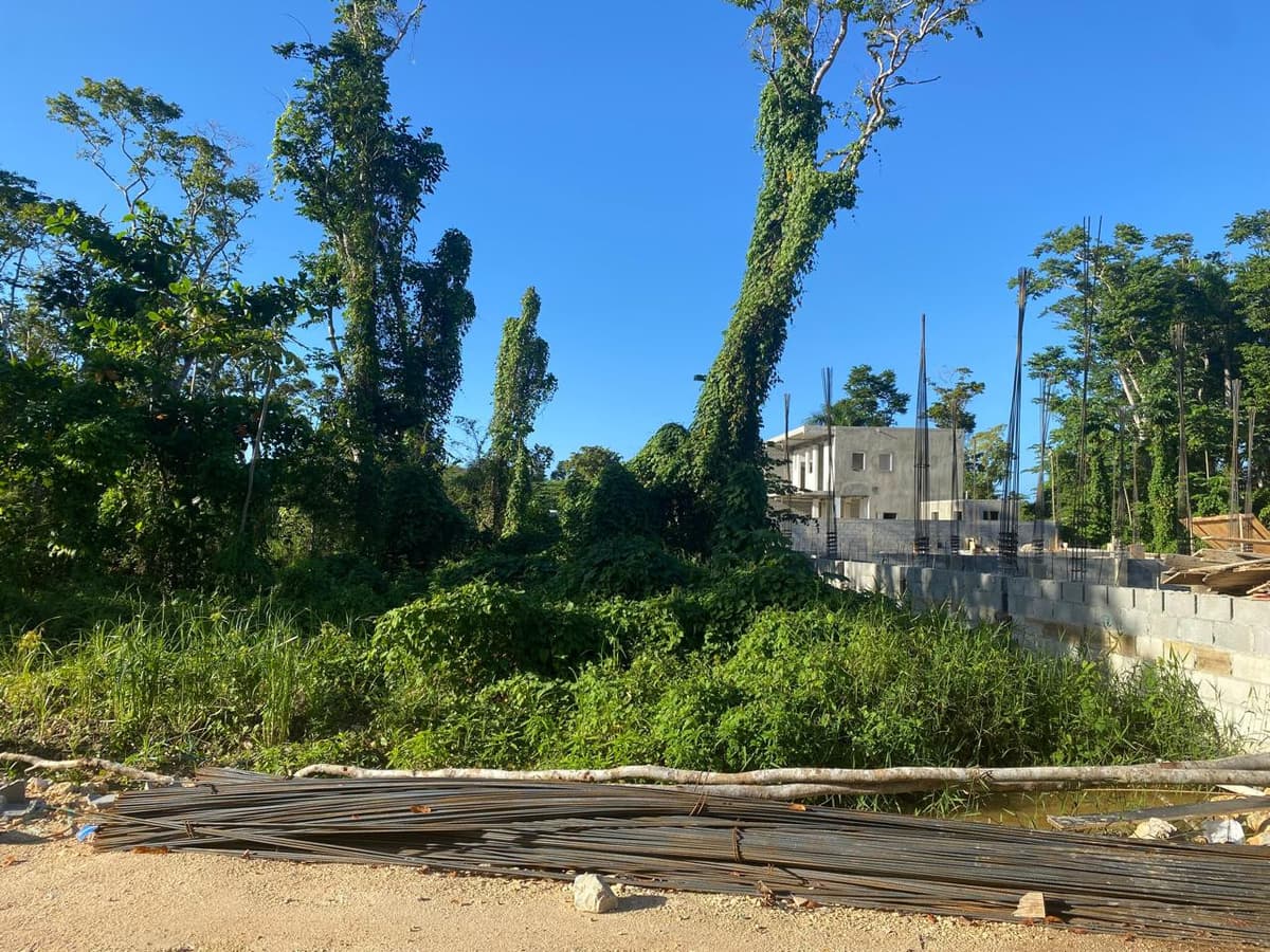 EN VENTA TERRENO EN LAS TERRENAS SAMANA - foto 2