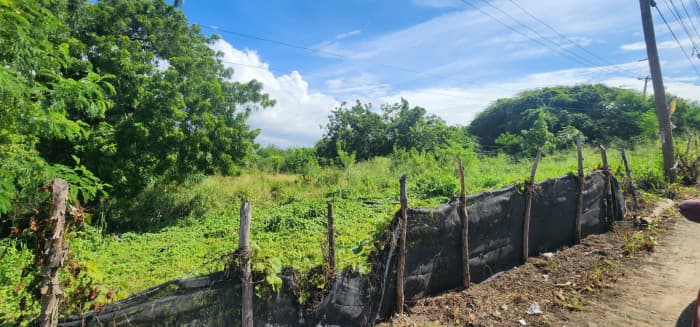 VENTA DE TERRENO COMERCIAL EN VILLA GONZALEZ  - foto 4