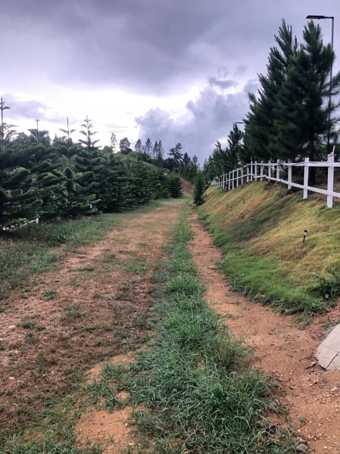 VENTA DE TERRENO EN SAJOMA, LOS MONTONES  - foto 2