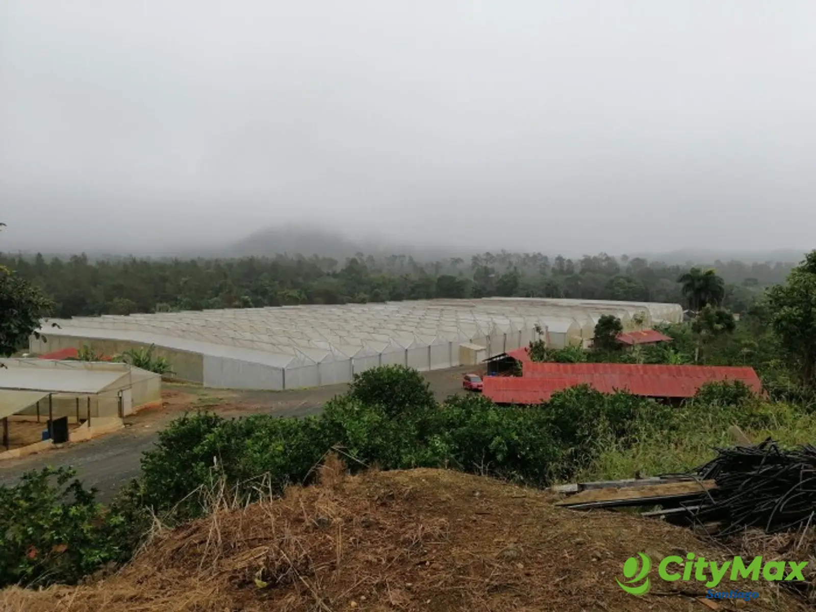 FINCA DE PRODUCCION EN LA LEONOR SANTIAGO RODRIGUEZ - foto 1