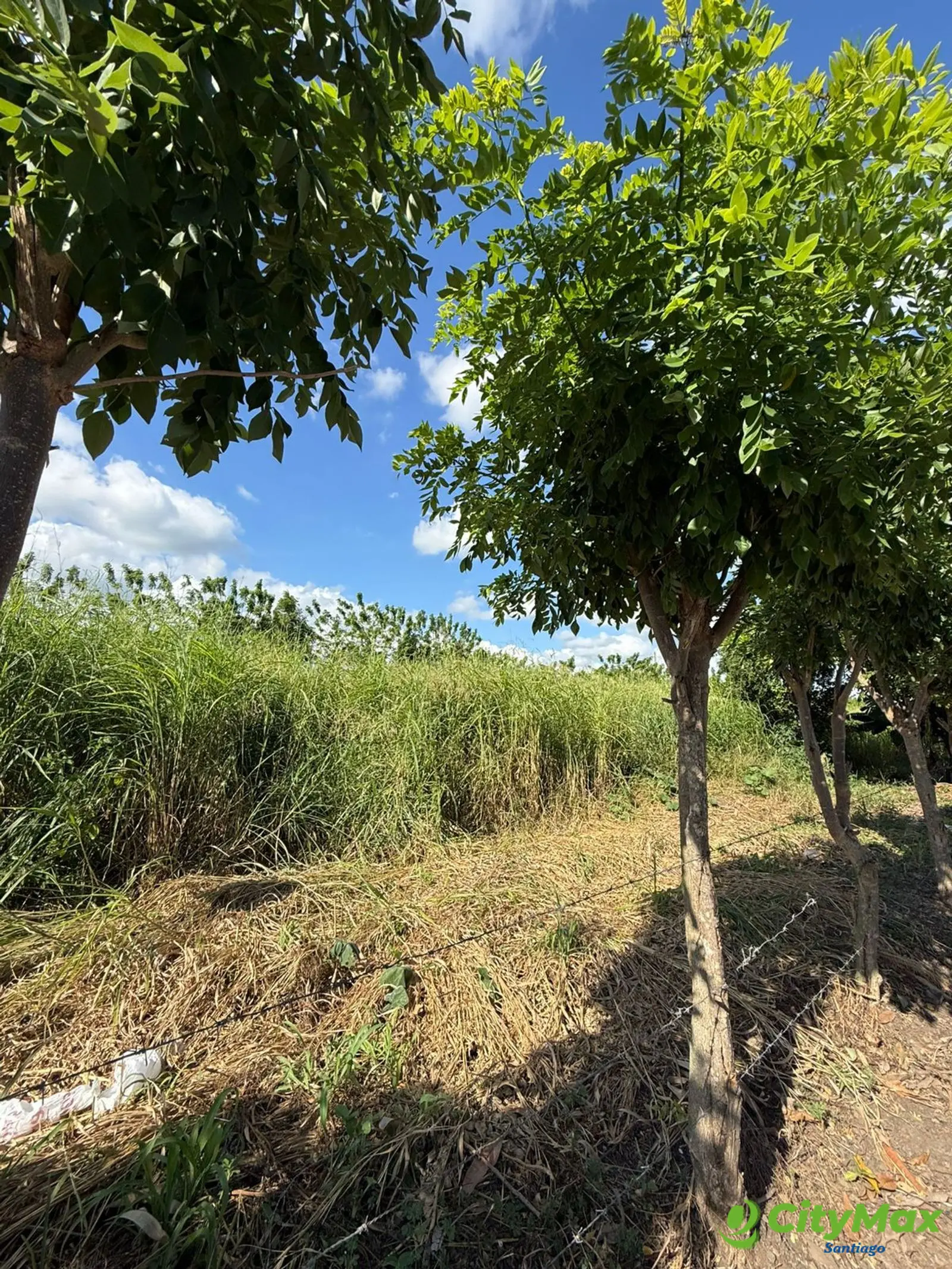VENTA SOLAR ZONA RESIDENCIAL EN LOS LLANOS DE GURABO - foto 1