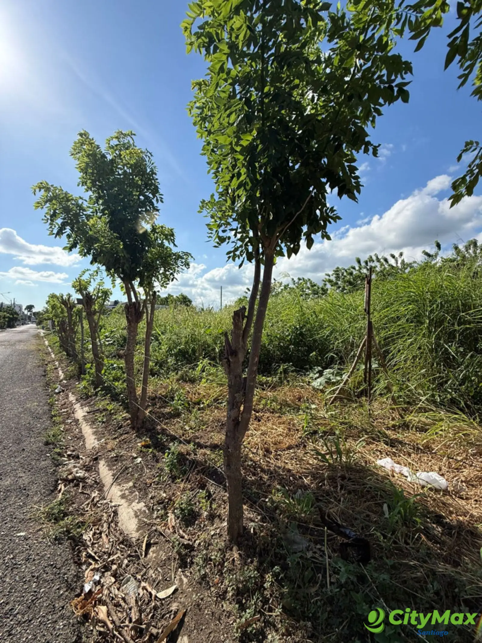 VENTA SOLAR ZONA RESIDENCIAL EN LOS LLANOS DE GURABO - foto 6