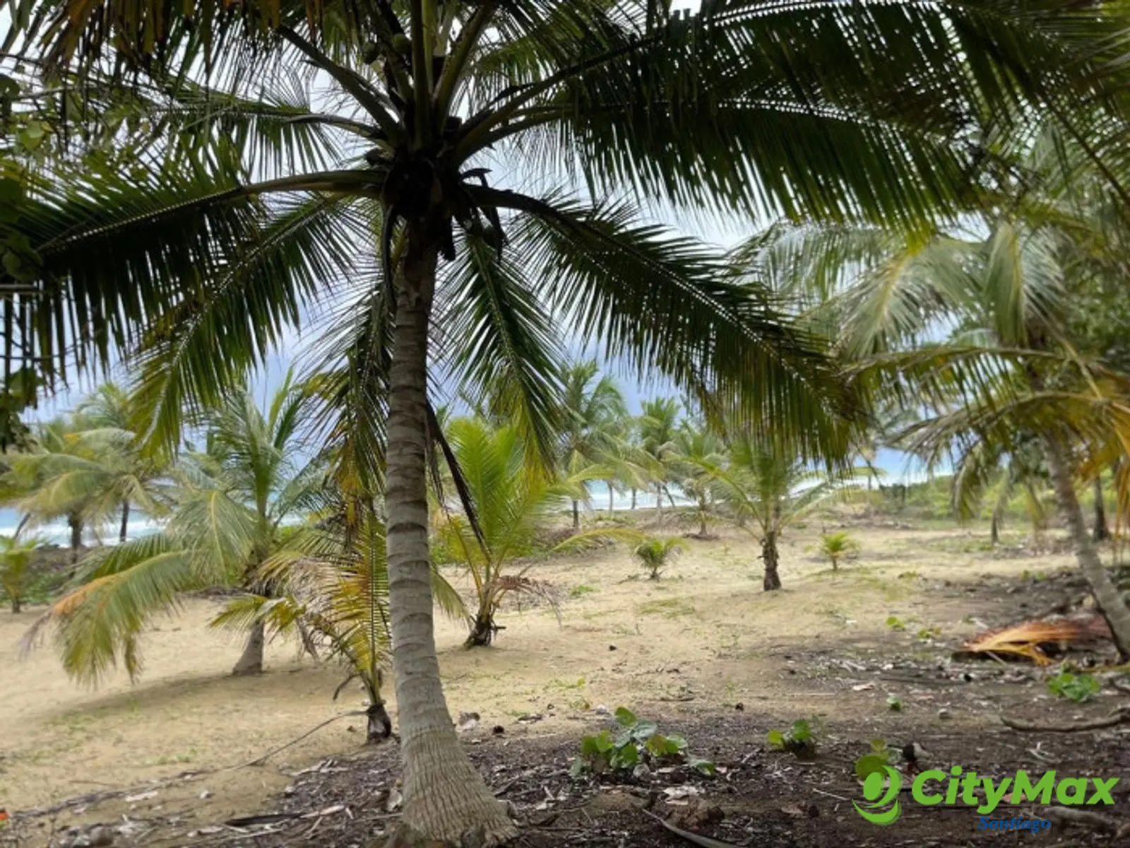 VENTA SOLAR PLAYA BOCA DE YASICA GASPAR HERNANDEZ - foto 4