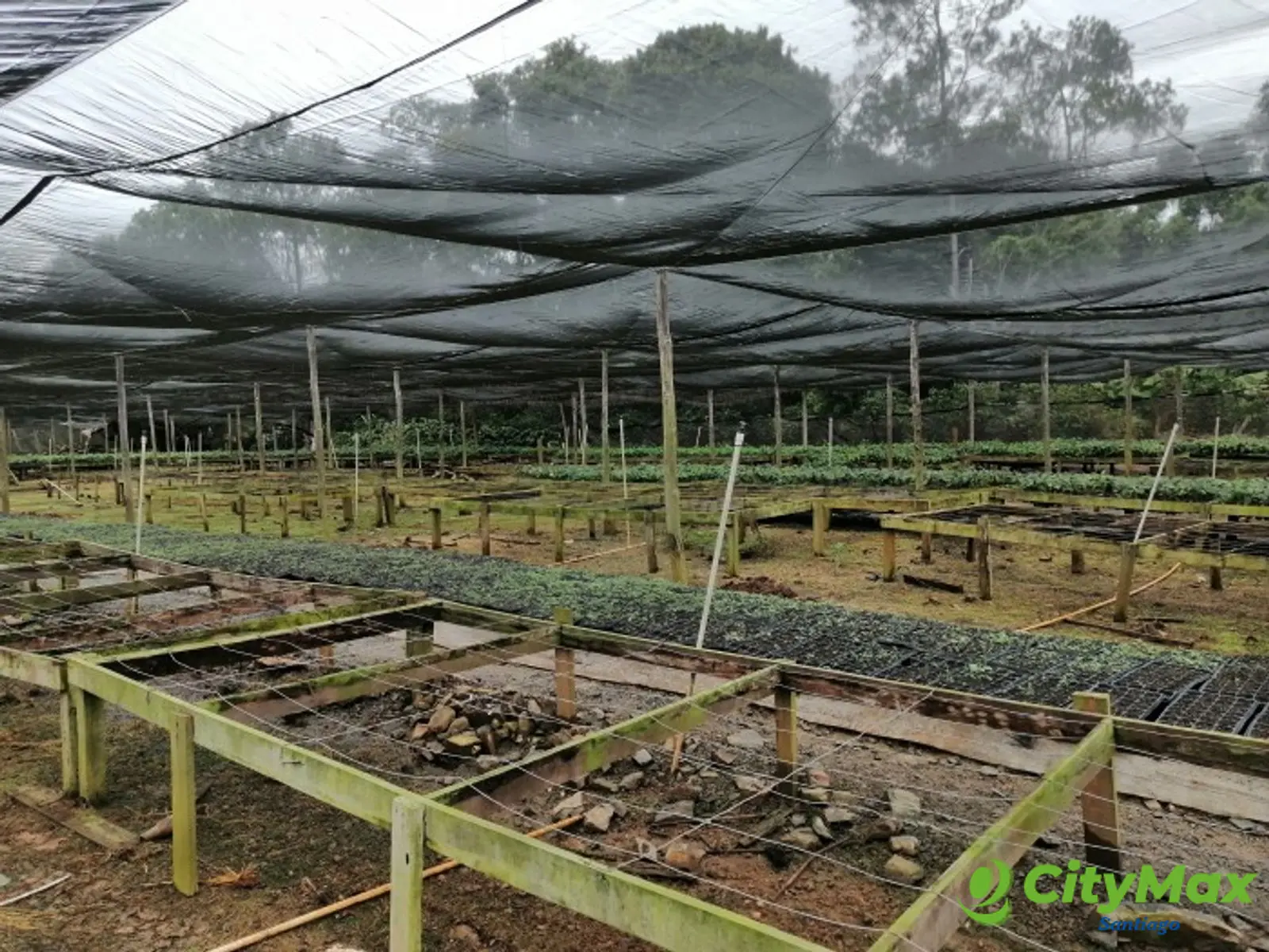 FINCA DE PRODUCCION EN LA LEONOR SANTIAGO RODRIGUEZ - foto 6