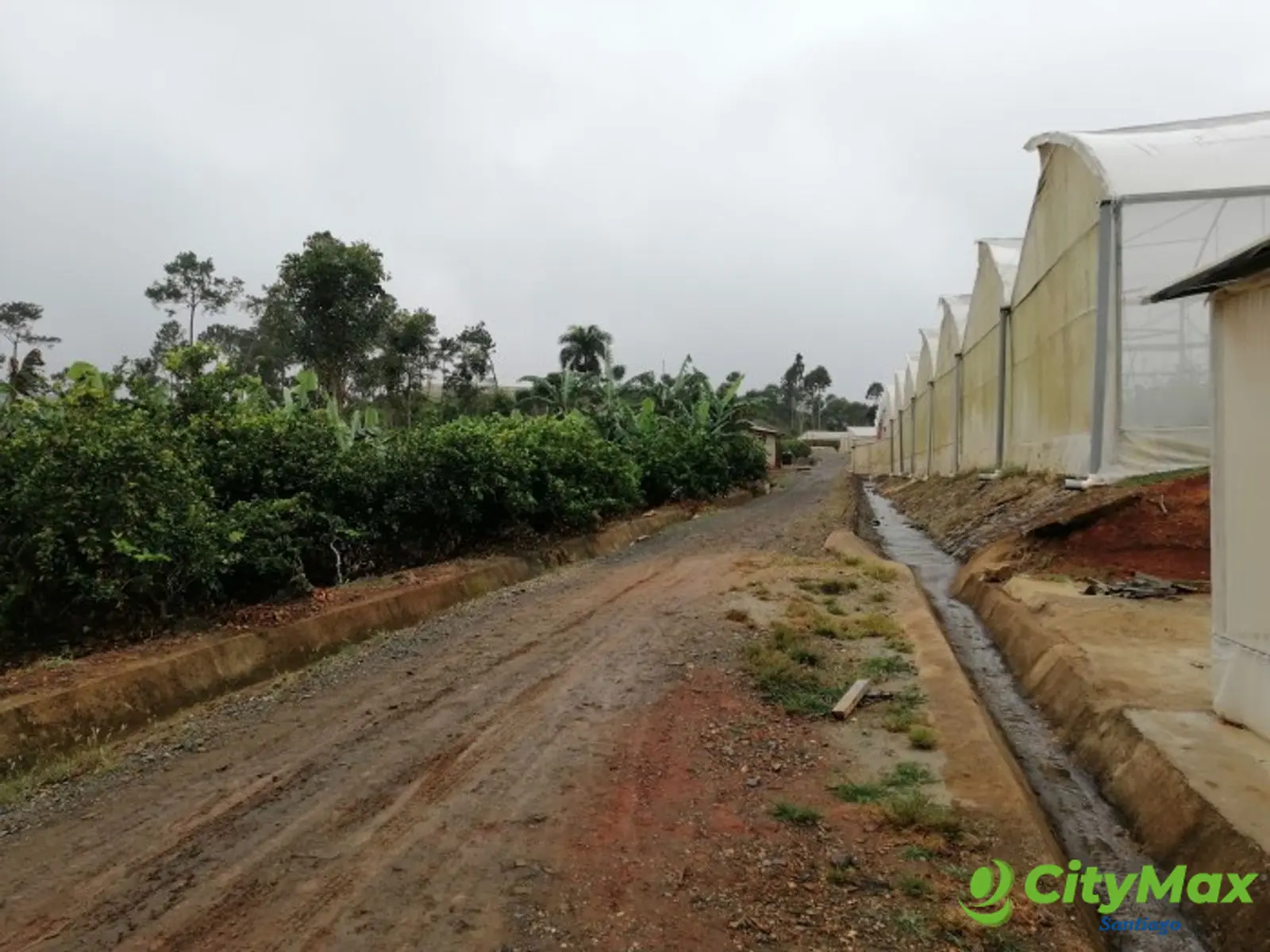 FINCA DE PRODUCCION EN LA LEONOR SANTIAGO RODRIGUEZ - foto 7