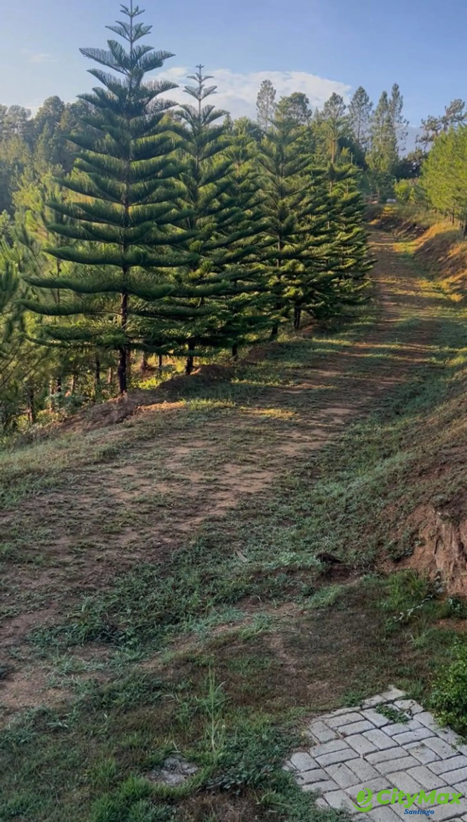 VENTA DE TERRENO EN SAJOMA, LOS MONTONES - foto 4