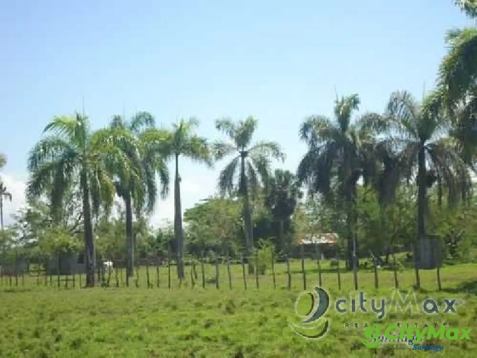 TERRENO EN VENTA EN LAS PALOMAS LICEY SANTIAGO - foto 4
